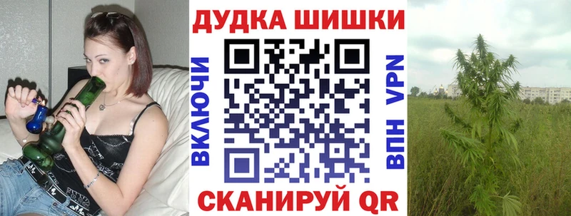 магазин продажи Орск Бошки марихуана гибрид
